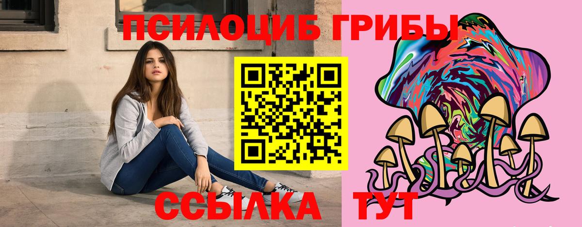 Грозный  наркошоп  Вход с VPN  Псилоцибиновые грибы GOLDEN TEACHER 