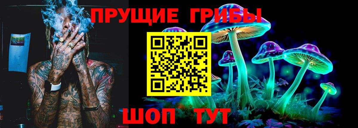 Псилоцибиновые грибы MAGIC MUSHROOMS Грозный